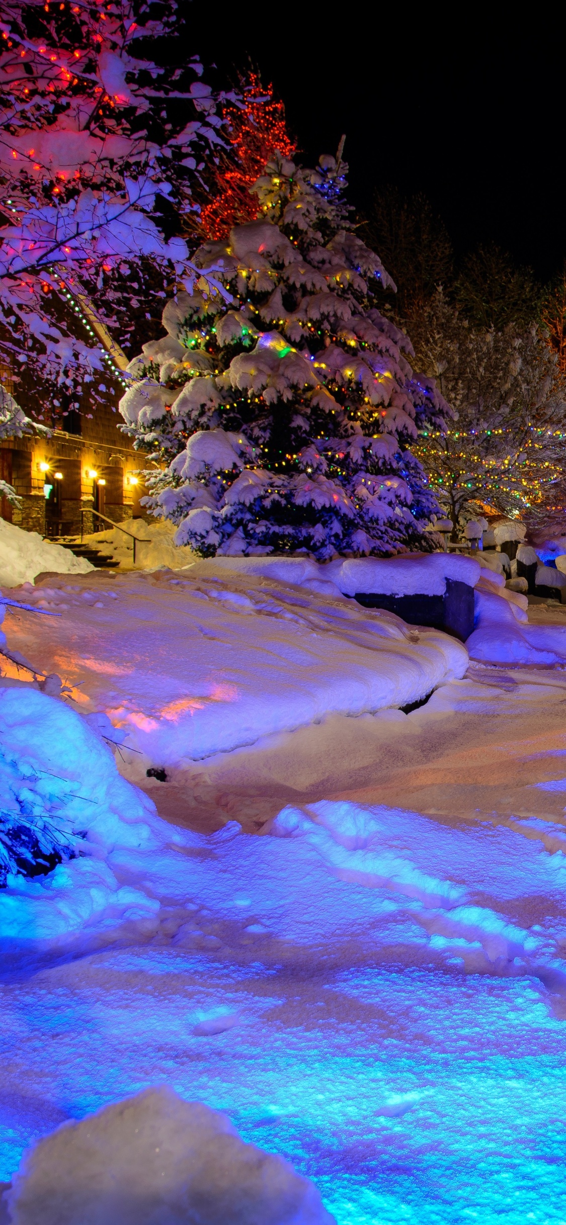 Personne en Veste Bleue Assise Sur un Sol Couvert de Neige Pendant la Journée. Wallpaper in 1125x2436 Resolution