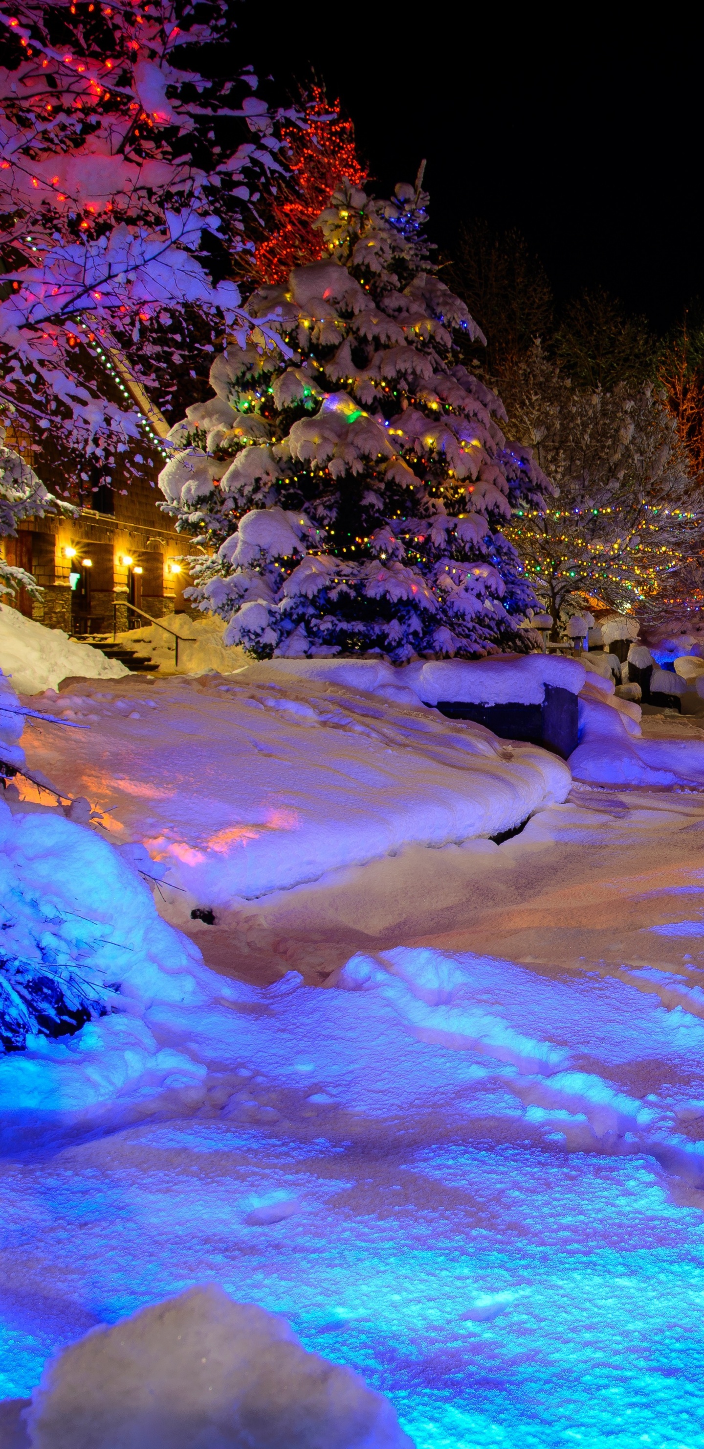 Personne en Veste Bleue Assise Sur un Sol Couvert de Neige Pendant la Journée. Wallpaper in 1440x2960 Resolution