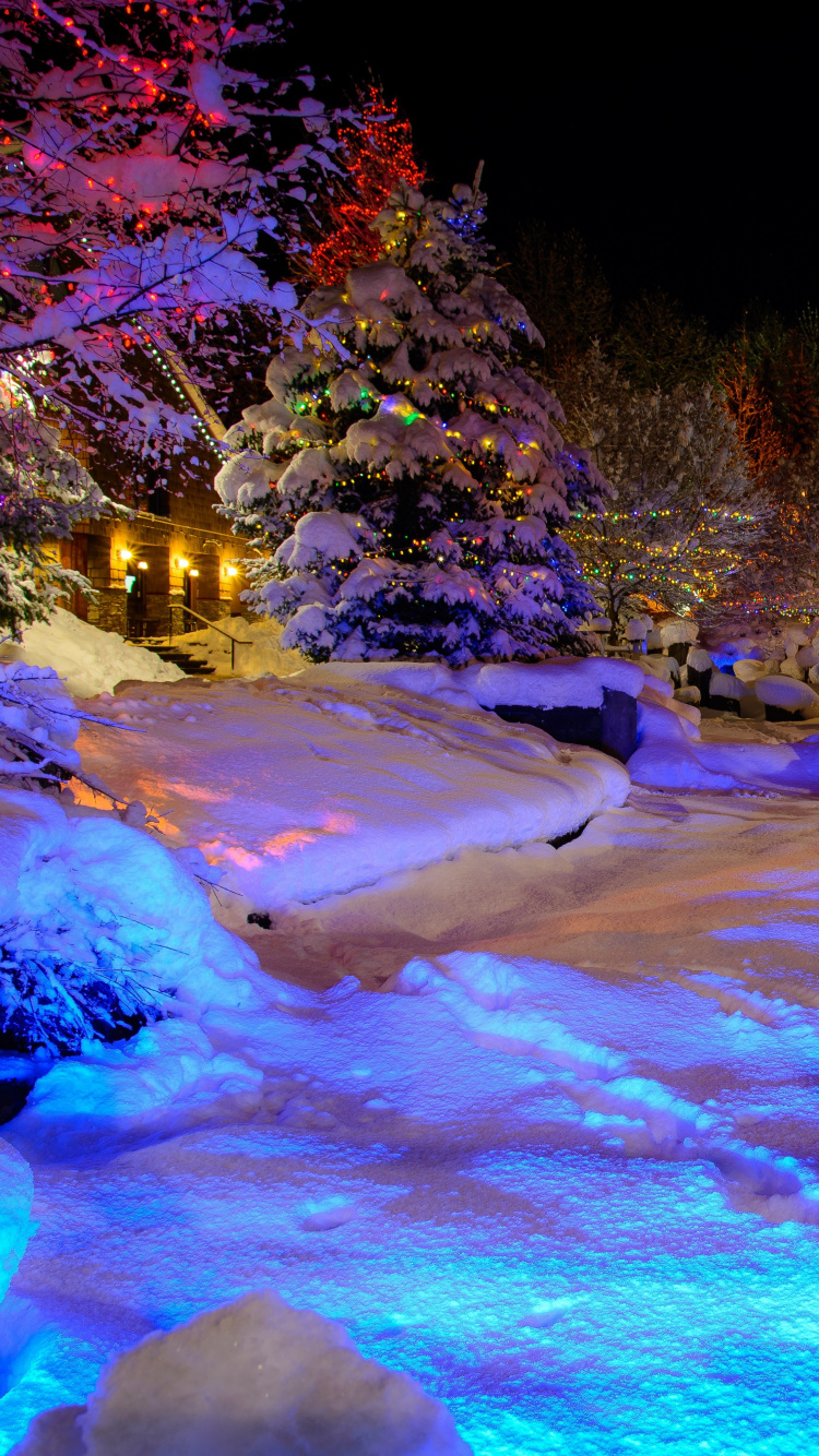 Personne en Veste Bleue Assise Sur un Sol Couvert de Neige Pendant la Journée. Wallpaper in 750x1334 Resolution