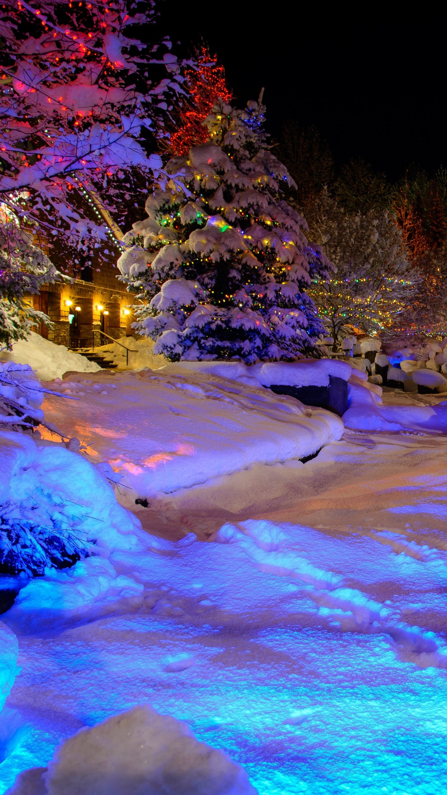 Person in Blue Jacket Sitting on Snow Covered Ground During Daytime. Wallpaper in 1440x2560 Resolution