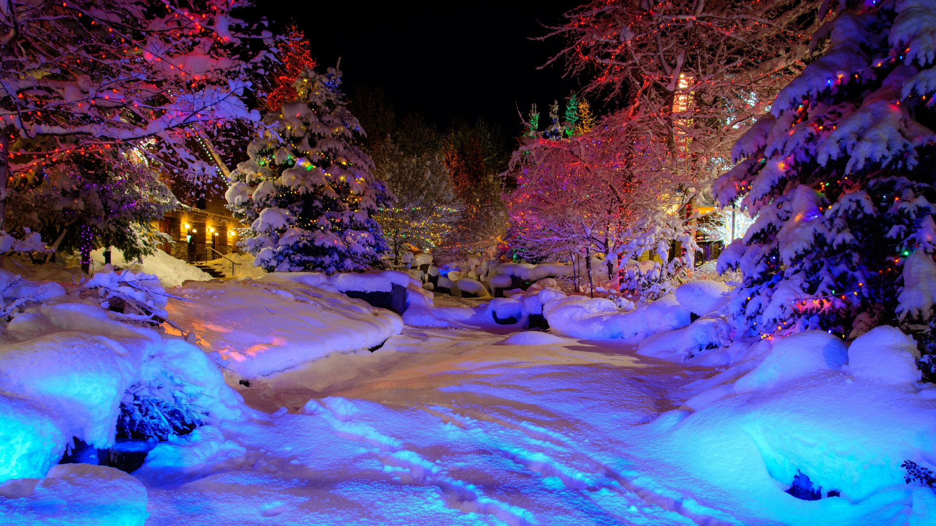 Person in Blue Jacket Sitting on Snow Covered Ground During Daytime. Wallpaper in 1920x1080 Resolution