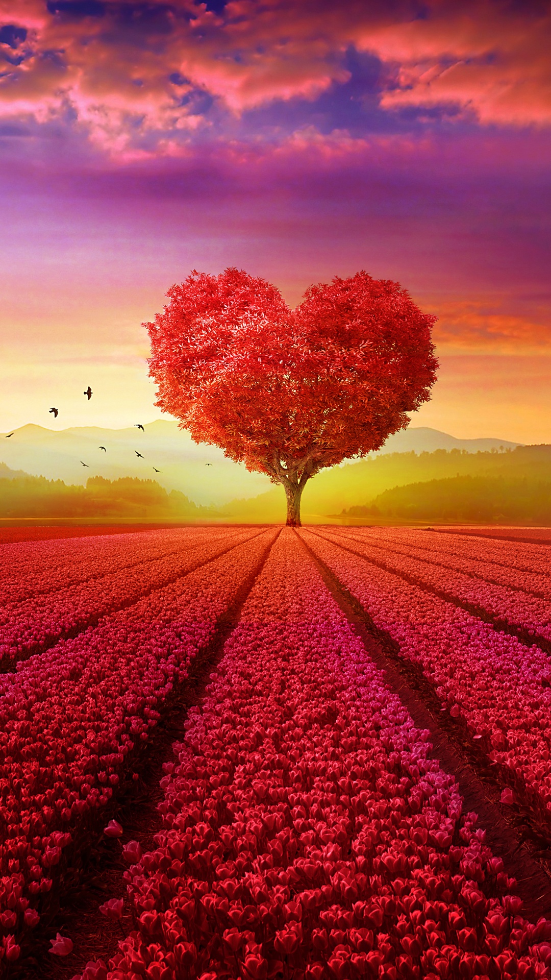 Nature, Red, Sunrise, Heart, Cloud. Wallpaper in 1080x1920 Resolution