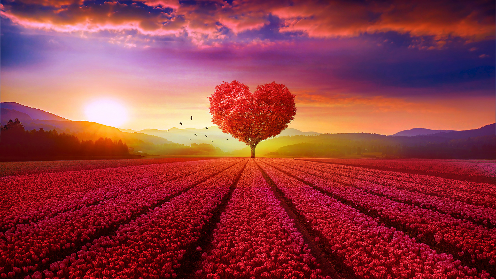 Nature, Red, Sunrise, Heart, Cloud. Wallpaper in 1920x1080 Resolution