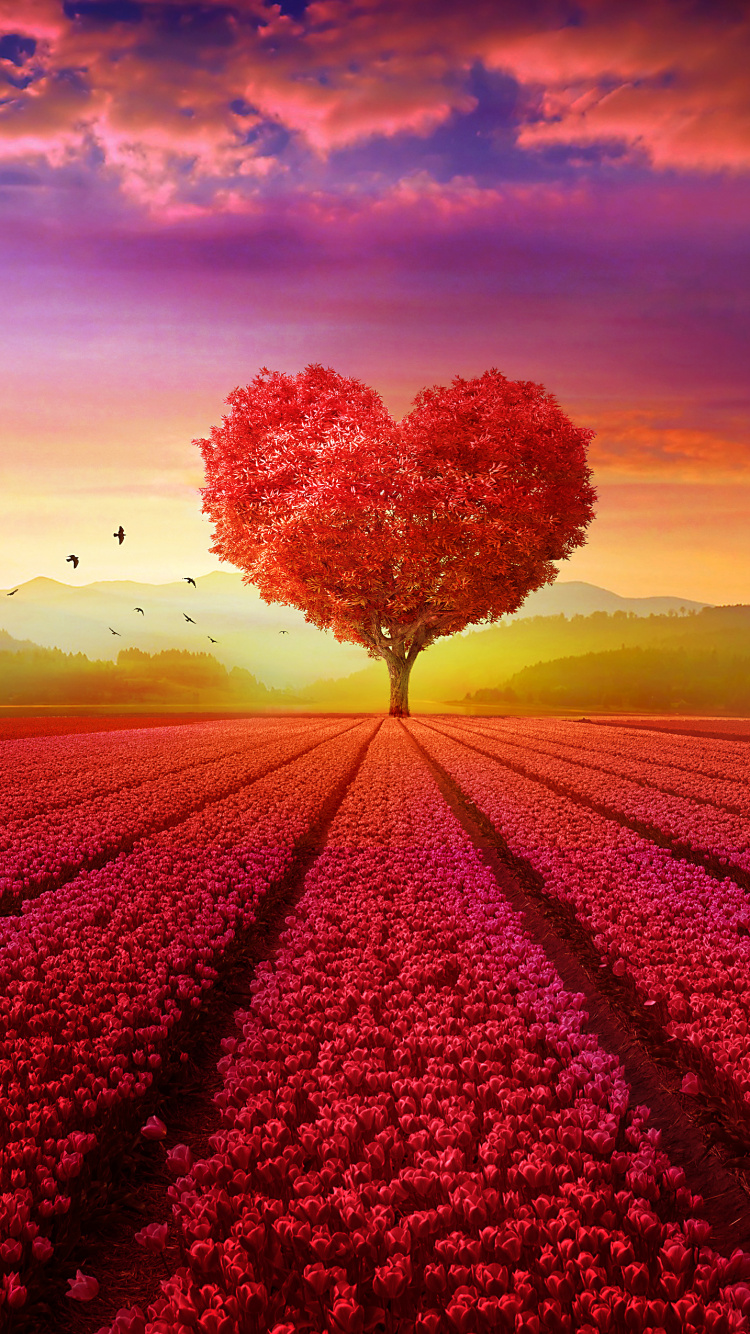 Nature, Red, Sunrise, Heart, Cloud. Wallpaper in 750x1334 Resolution