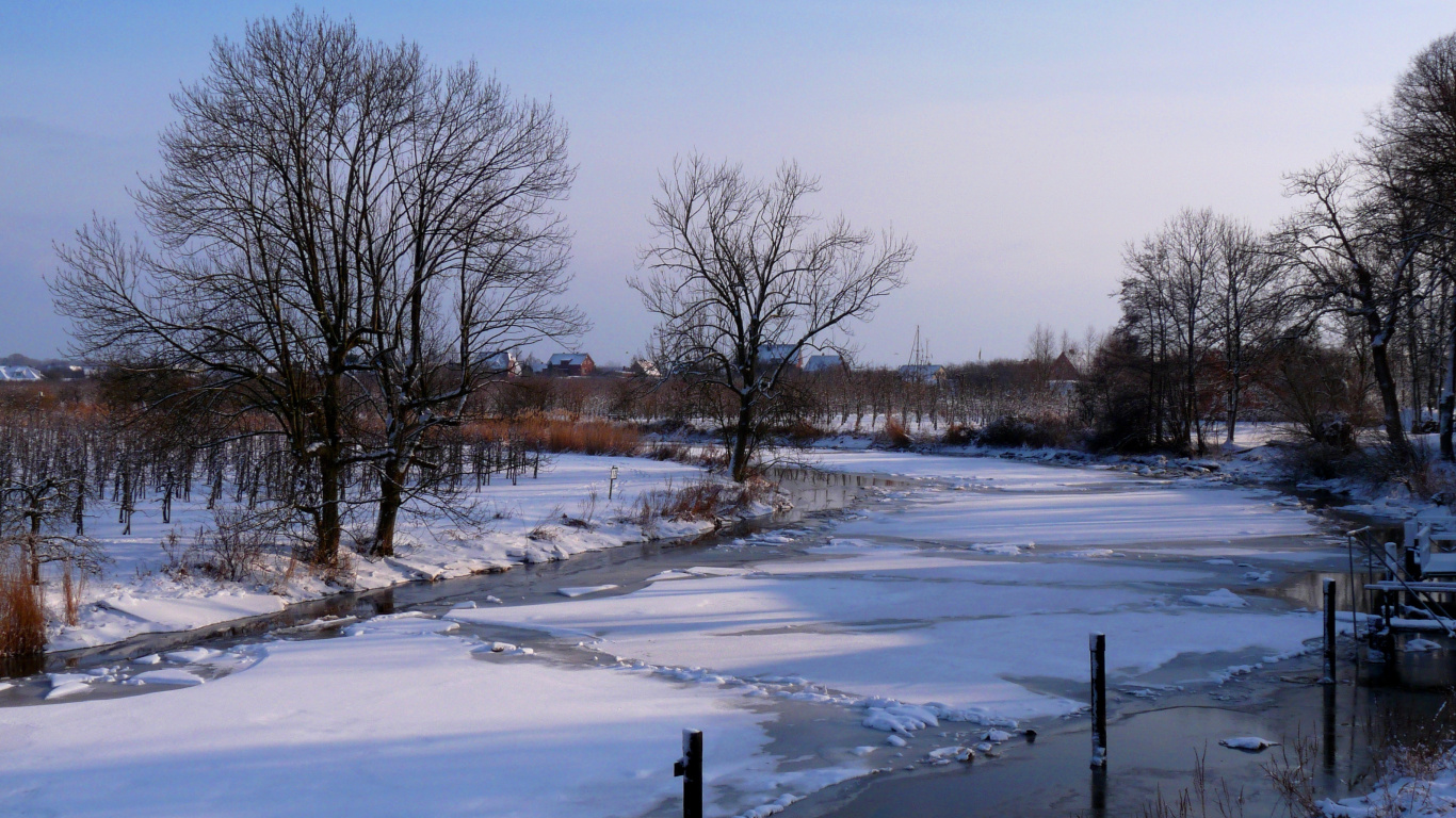 Kahle Bäume Auf Schneebedecktem Boden Unter Blauem Himmel Tagsüber. Wallpaper in 1366x768 Resolution