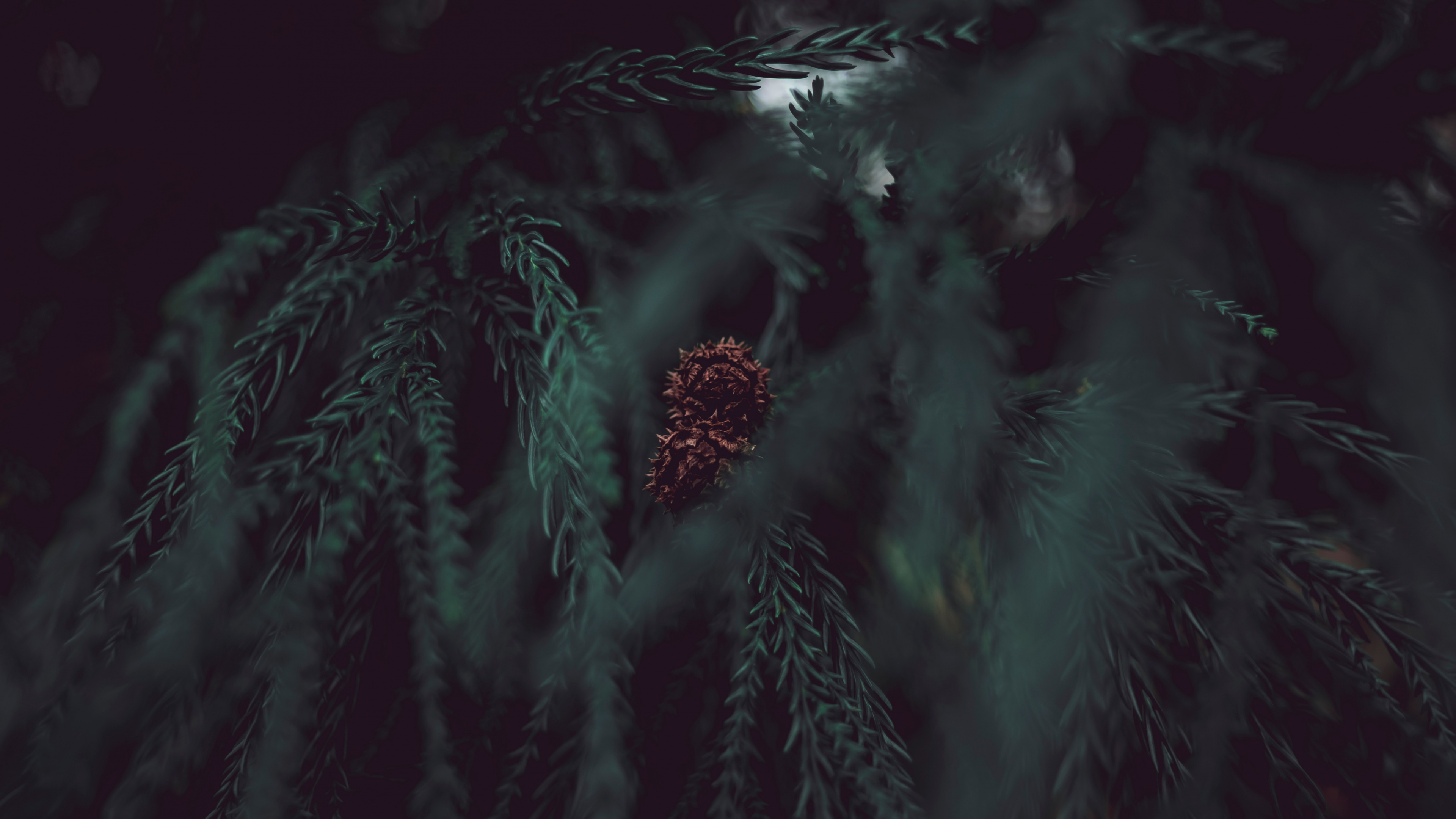 Noir, Obscurité, Green, Eau, Atmosphère. Wallpaper in 3840x2160 Resolution