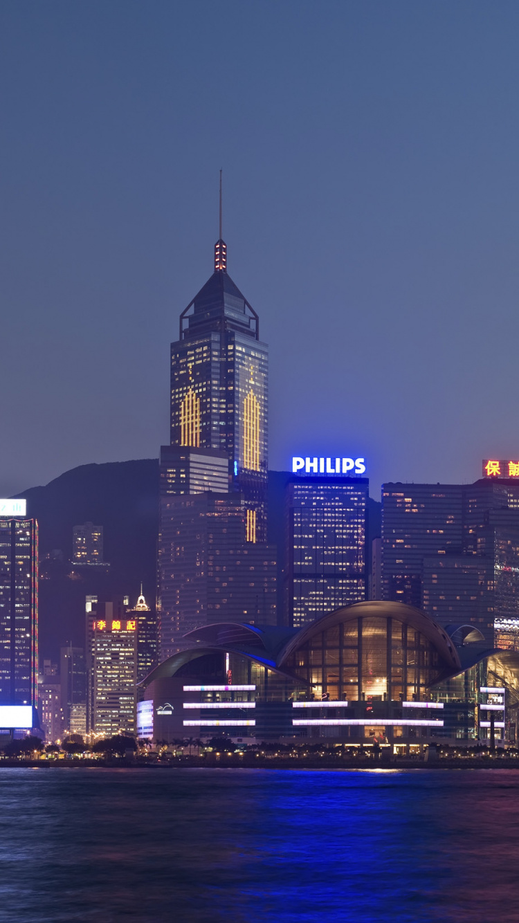 City Skyline Near Body of Water During Night Time. Wallpaper in 750x1334 Resolution