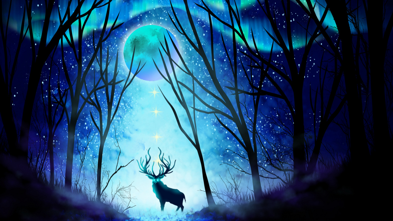 Cheval Noir et Blanc Sur Terrain en Herbe. Wallpaper in 1366x768 Resolution