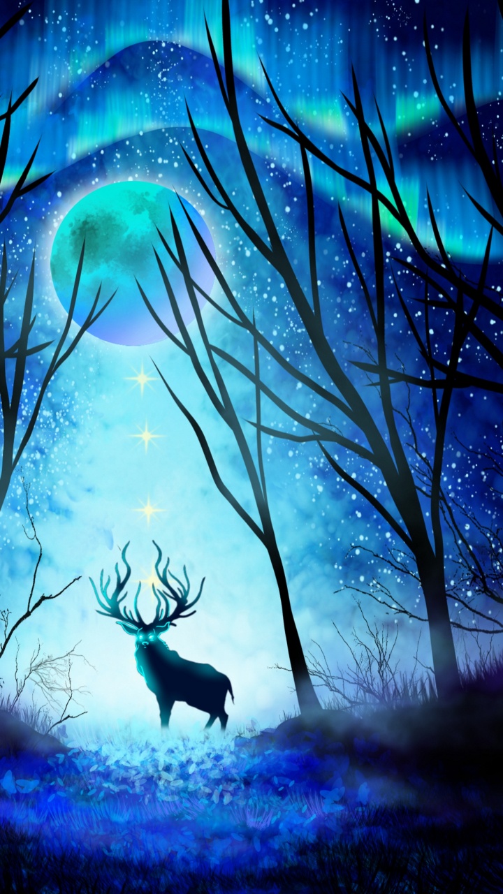 Cheval Noir et Blanc Sur Terrain en Herbe. Wallpaper in 720x1280 Resolution