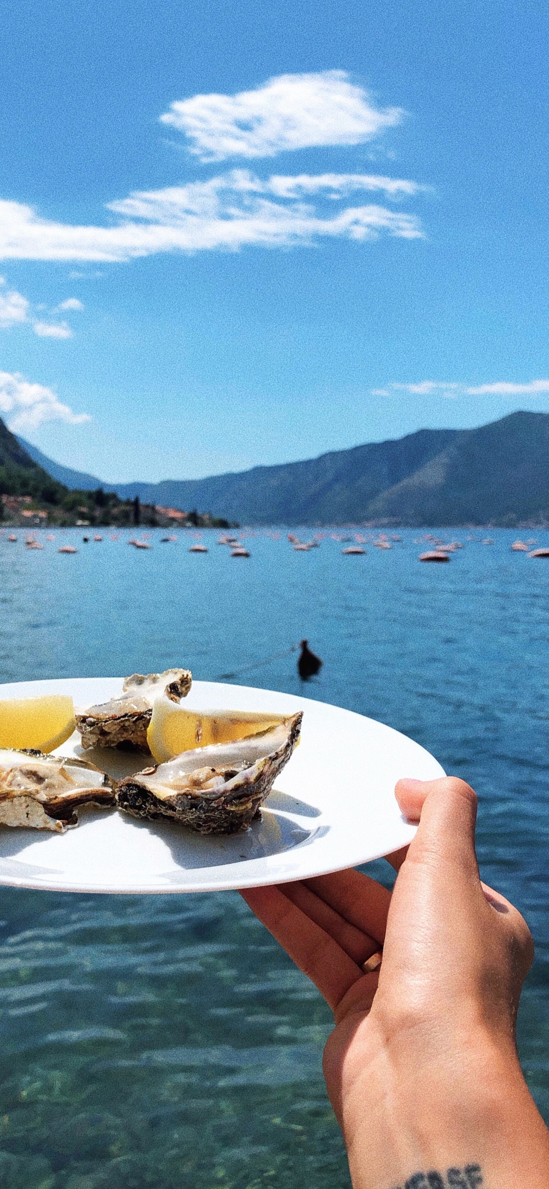 Eau, le Transport de L'eau, Fjord, Bateau, Lacs. Wallpaper in 1125x2436 Resolution
