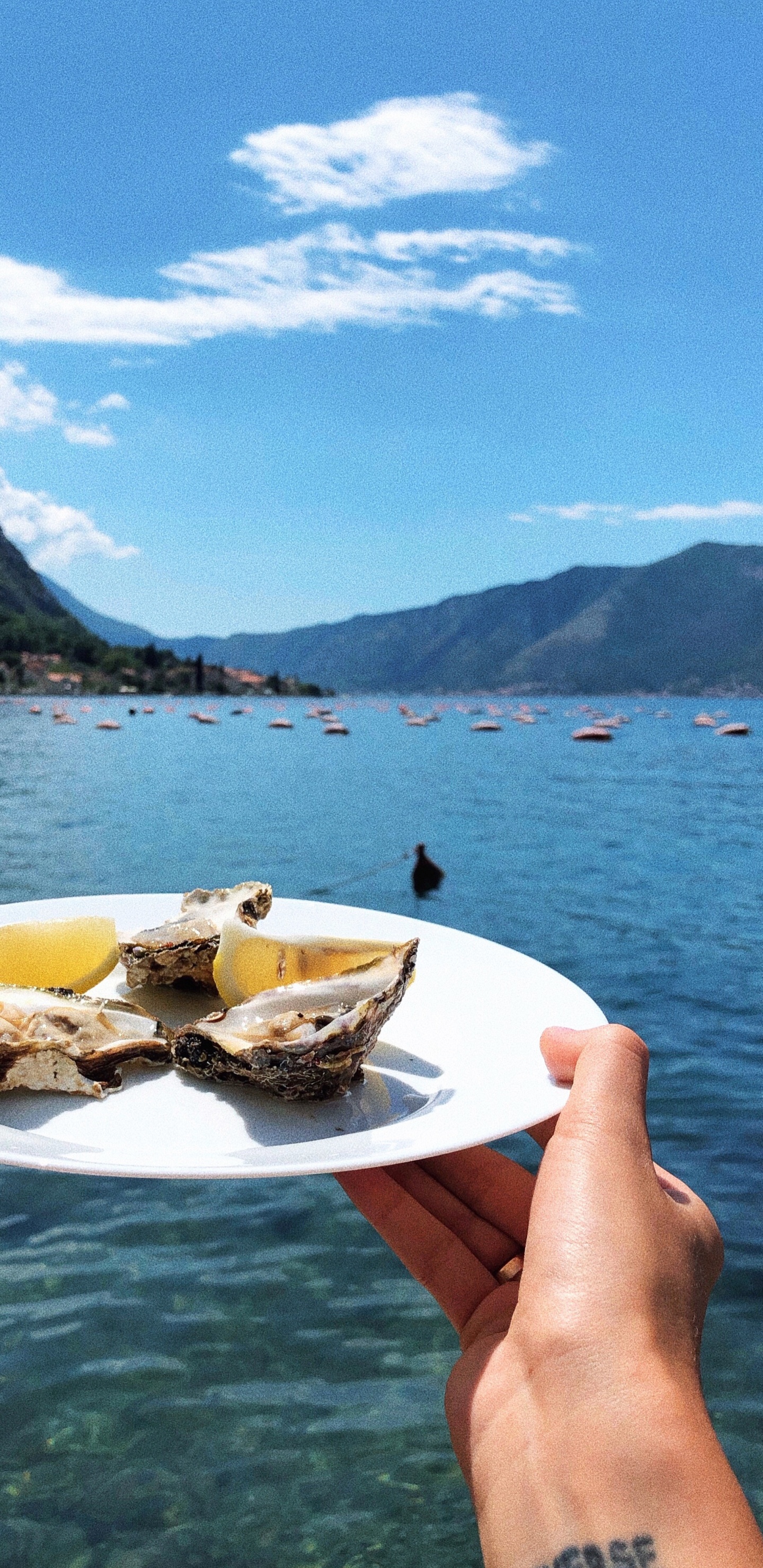 Water, Water Transportation, Fjord, Boat, Lake District. Wallpaper in 1440x2960 Resolution