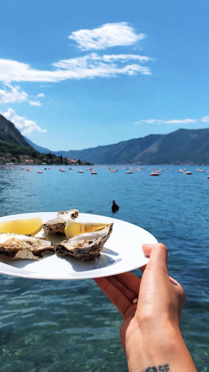 Water, Water Transportation, Fjord, Boat, Lake District. Wallpaper in 720x1280 Resolution
