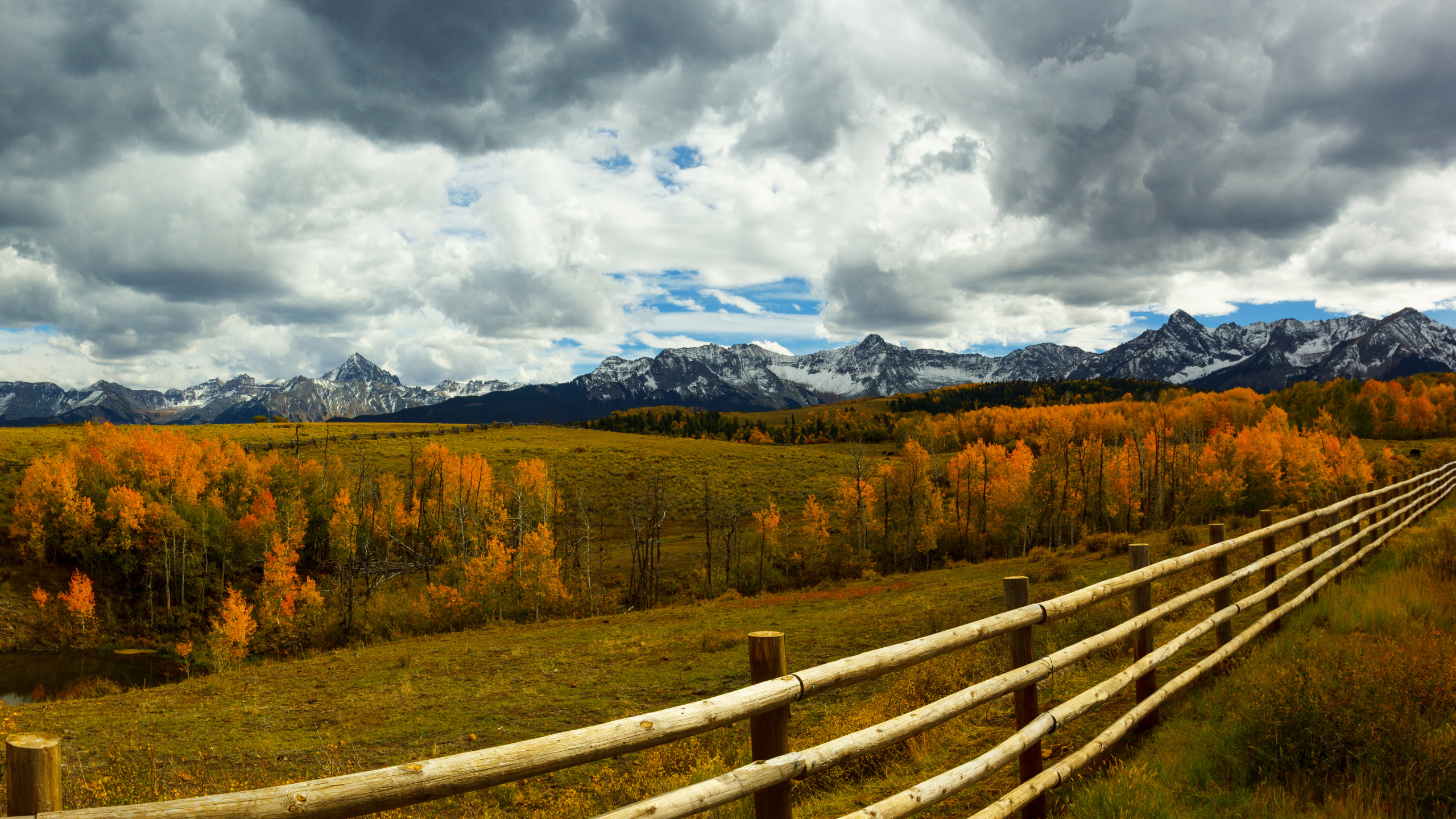 Brown Grass Field Near Brown Trees Under White Clouds During Daytime. Wallpaper in 2560x1440 Resolution