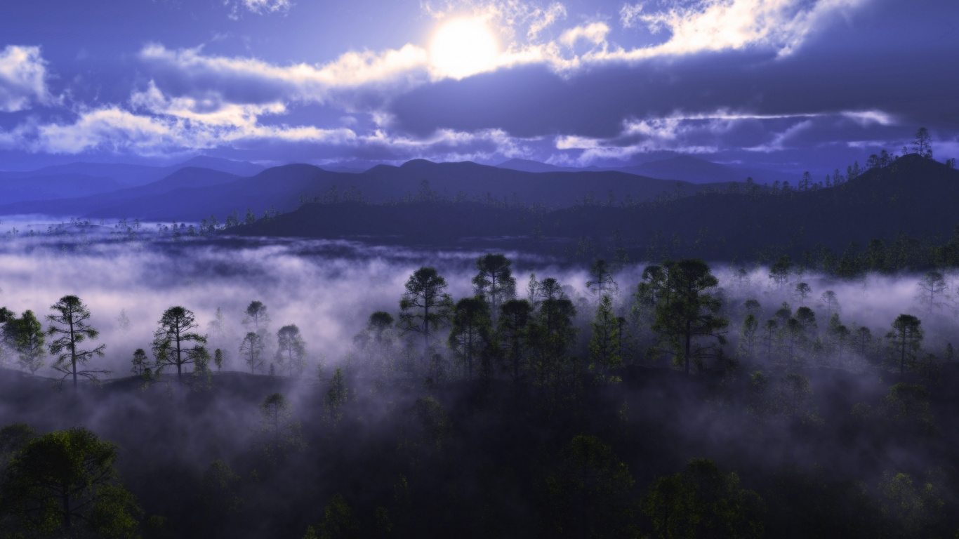 性质, 早上, 黎明, 森林, 日出 壁纸 1366x768 允许