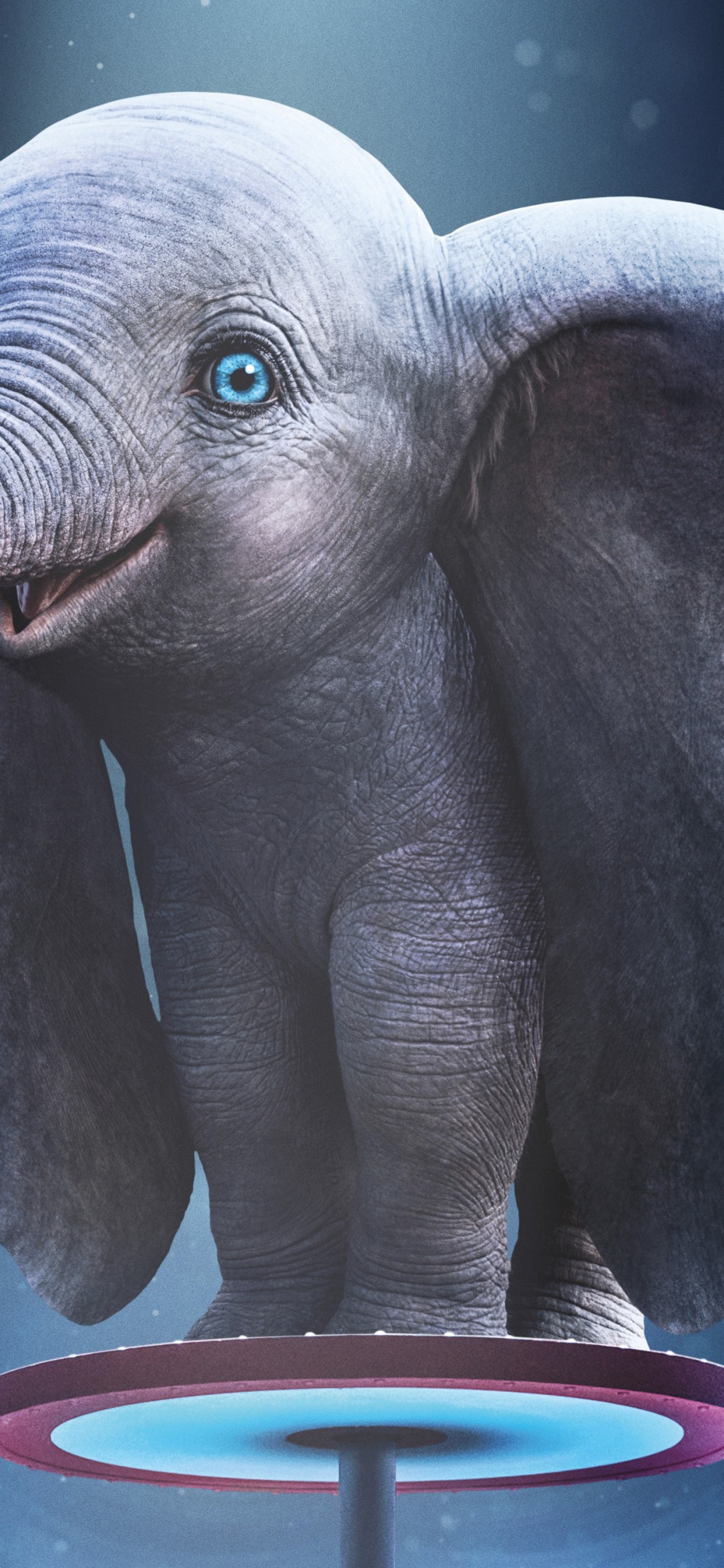 2019, Elephant, Elephants and Mammoths, African Elephant, Indian Elephant. Wallpaper in 1125x2436 Resolution