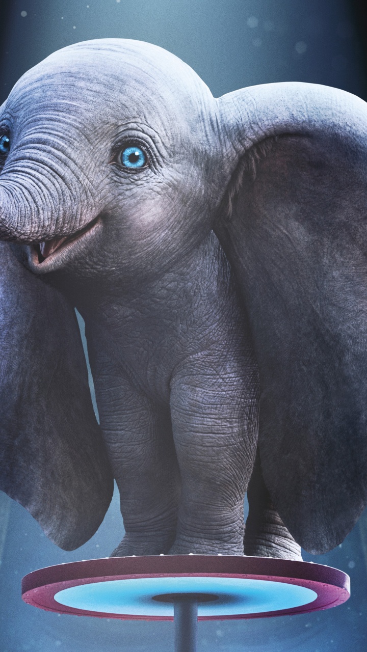 2019, Elephant, Elephants and Mammoths, African Elephant, Indian Elephant. Wallpaper in 720x1280 Resolution