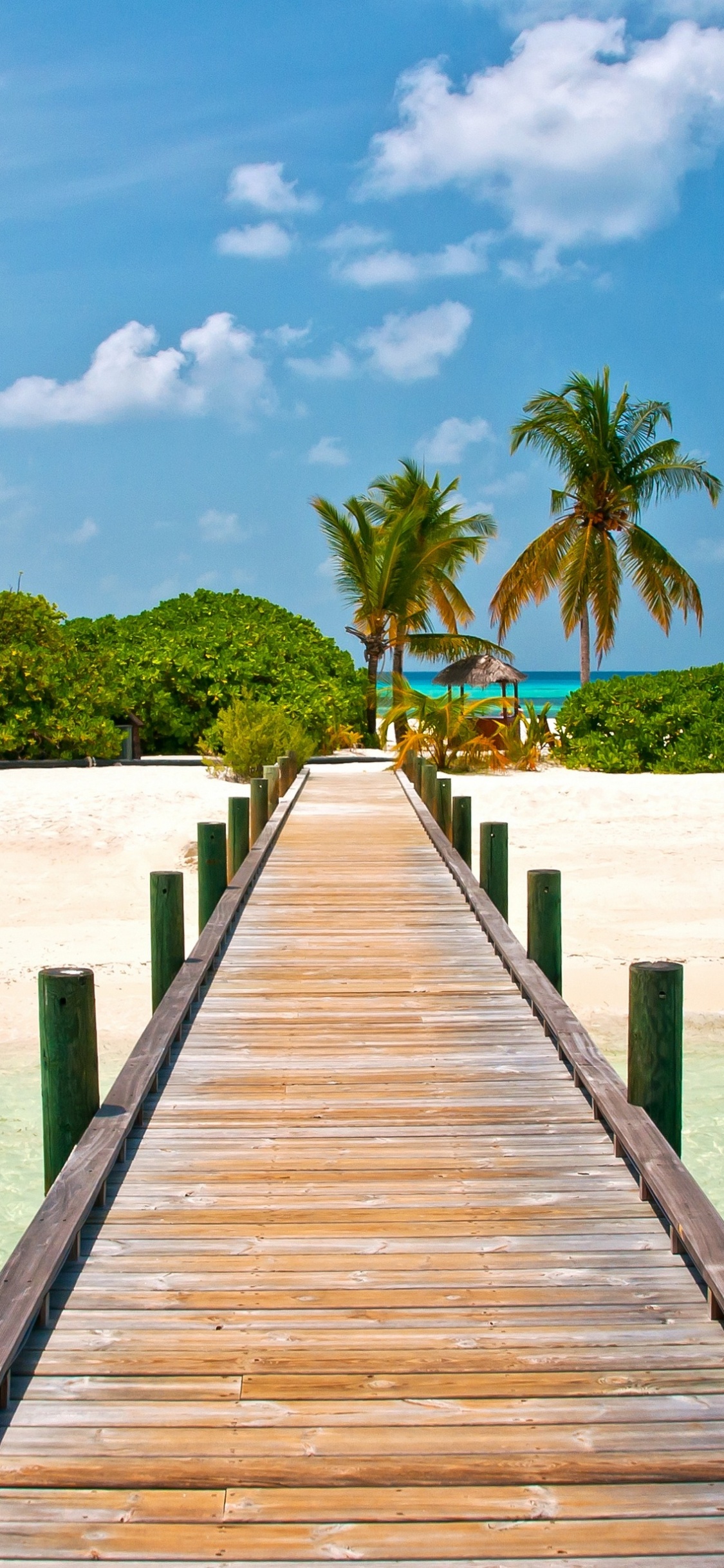 Brown Wooden Dock on Beach During Daytime. Wallpaper in 1125x2436 Resolution