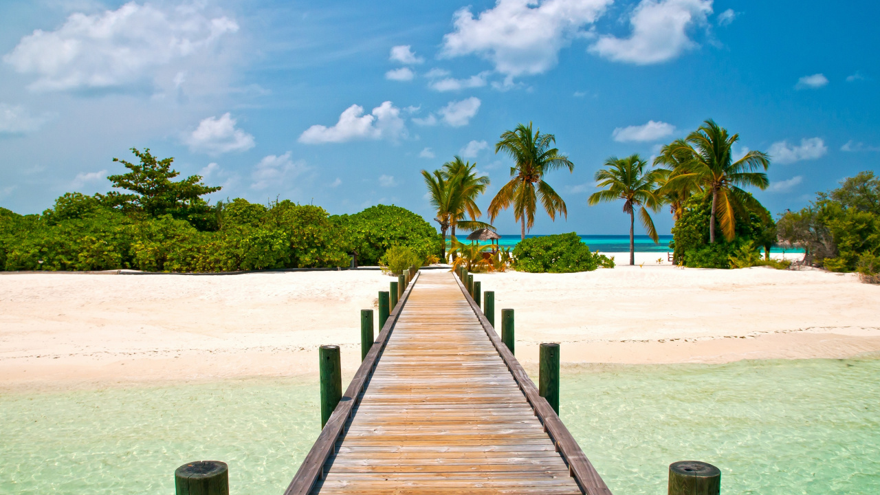 Brown Wooden Dock on Beach During Daytime. Wallpaper in 1280x720 Resolution