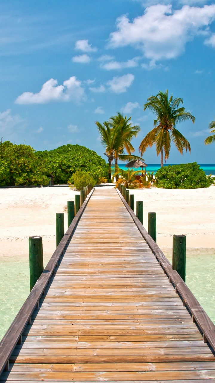 Brown Wooden Dock on Beach During Daytime. Wallpaper in 720x1280 Resolution