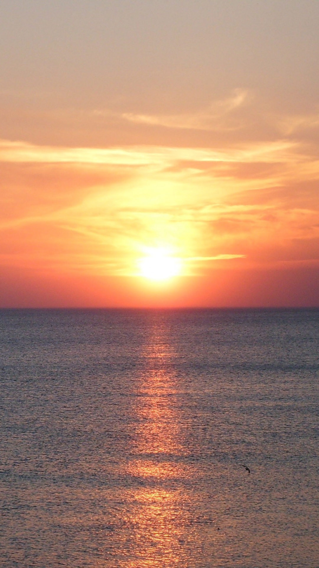 Báltico, Mar, Puesta, Cuerpo de Agua, Afterglow. Wallpaper in 1080x1920 Resolution