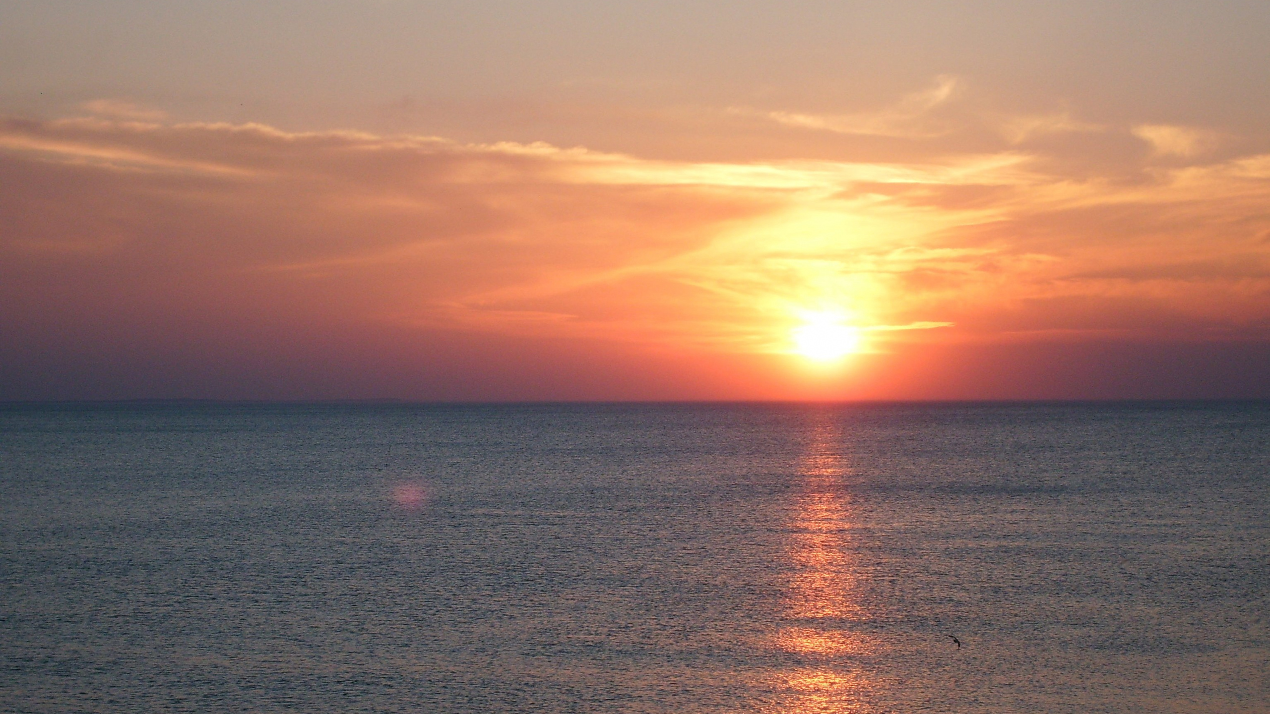 Baltique, Mer, Horizon, Lever, Corps de L'eau. Wallpaper in 2560x1440 Resolution