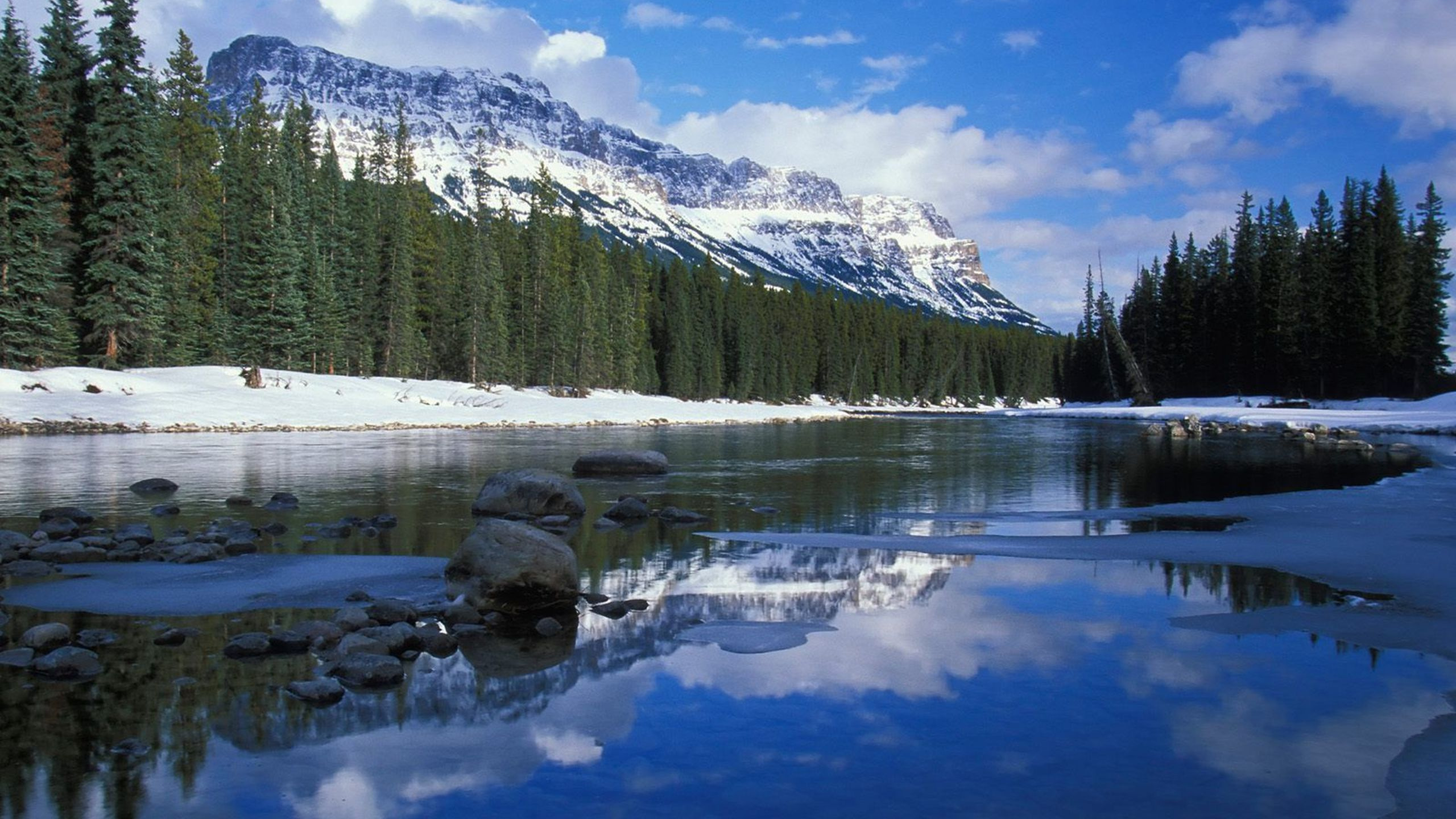 Green Pine Trees Near Snow Covered Mountain During Daytime. Wallpaper in 2560x1440 Resolution