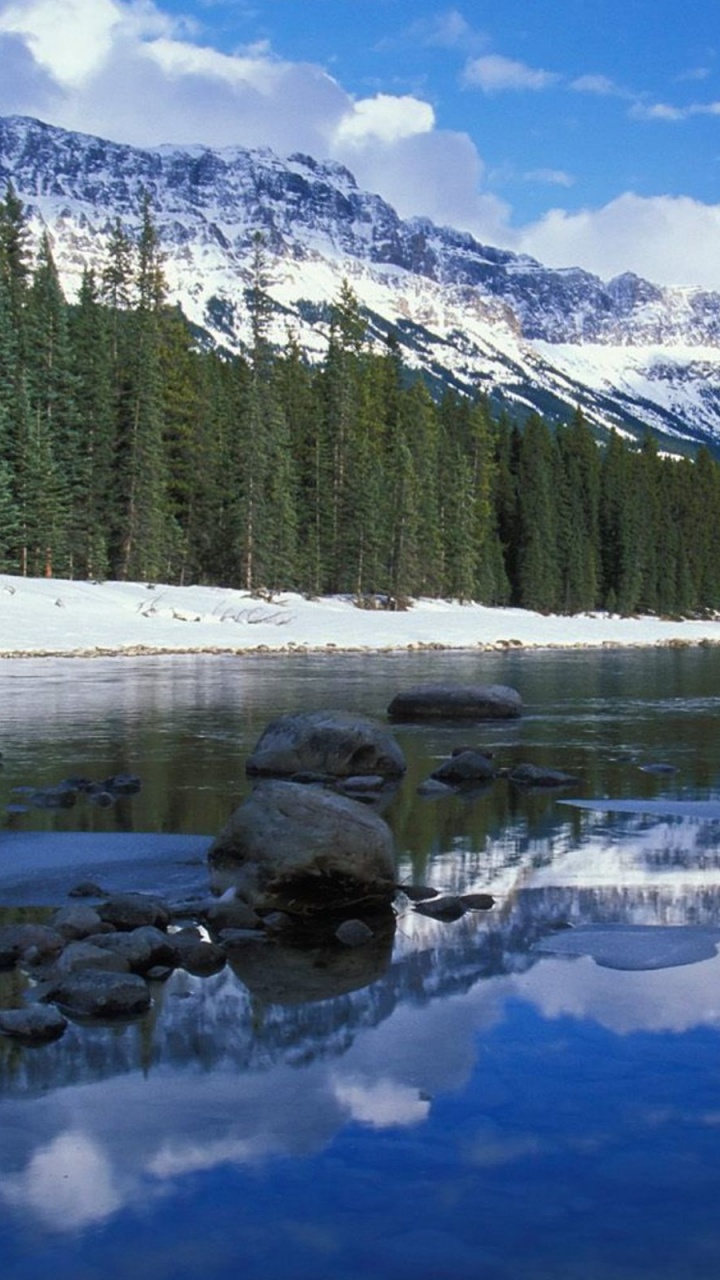 Green Pine Trees Near Snow Covered Mountain During Daytime. Wallpaper in 720x1280 Resolution