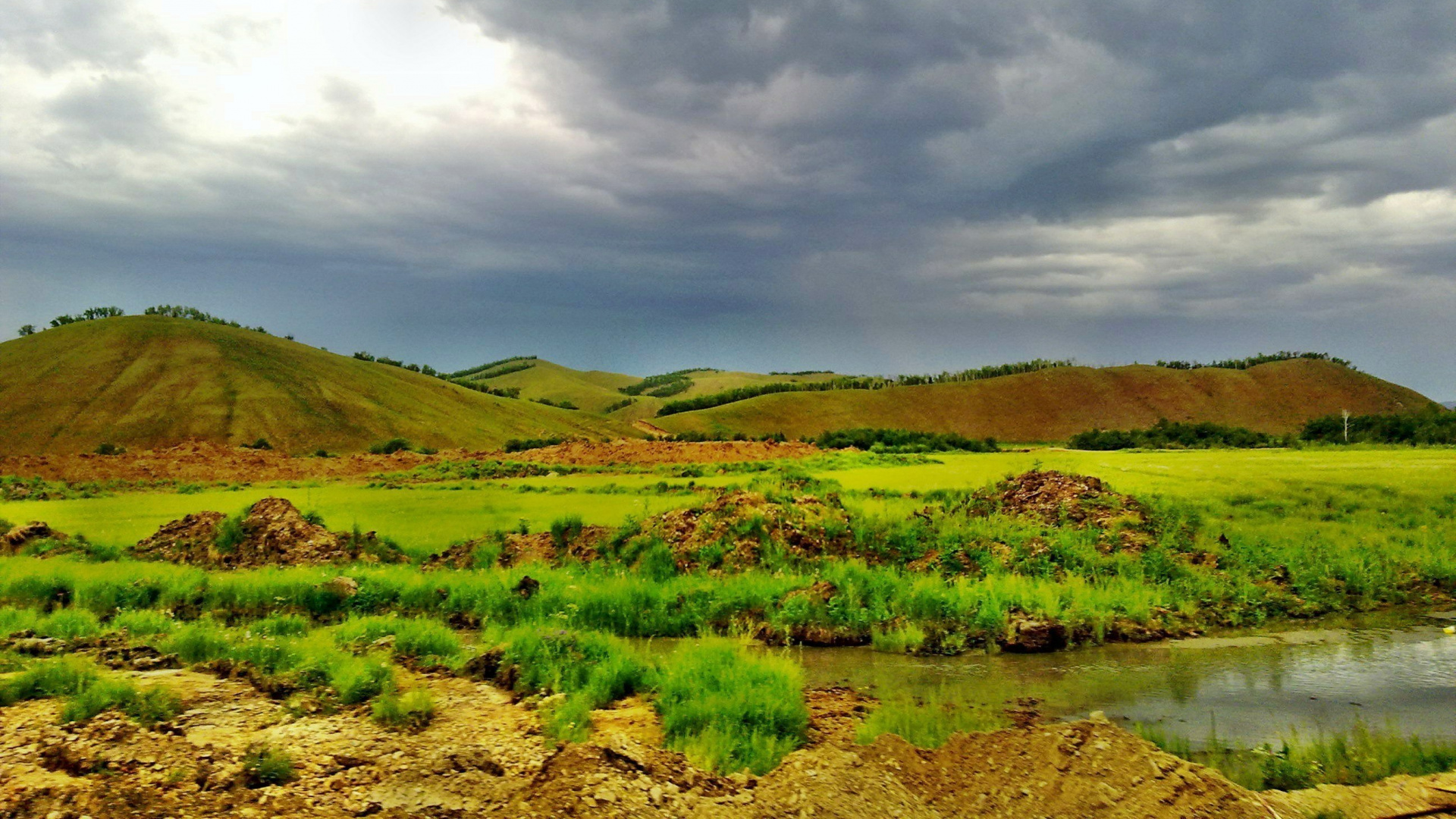 Campo de Hierba Verde Cerca Del Cuerpo de Agua Bajo un Cielo Nublado Durante el Día. Wallpaper in 1920x1080 Resolution