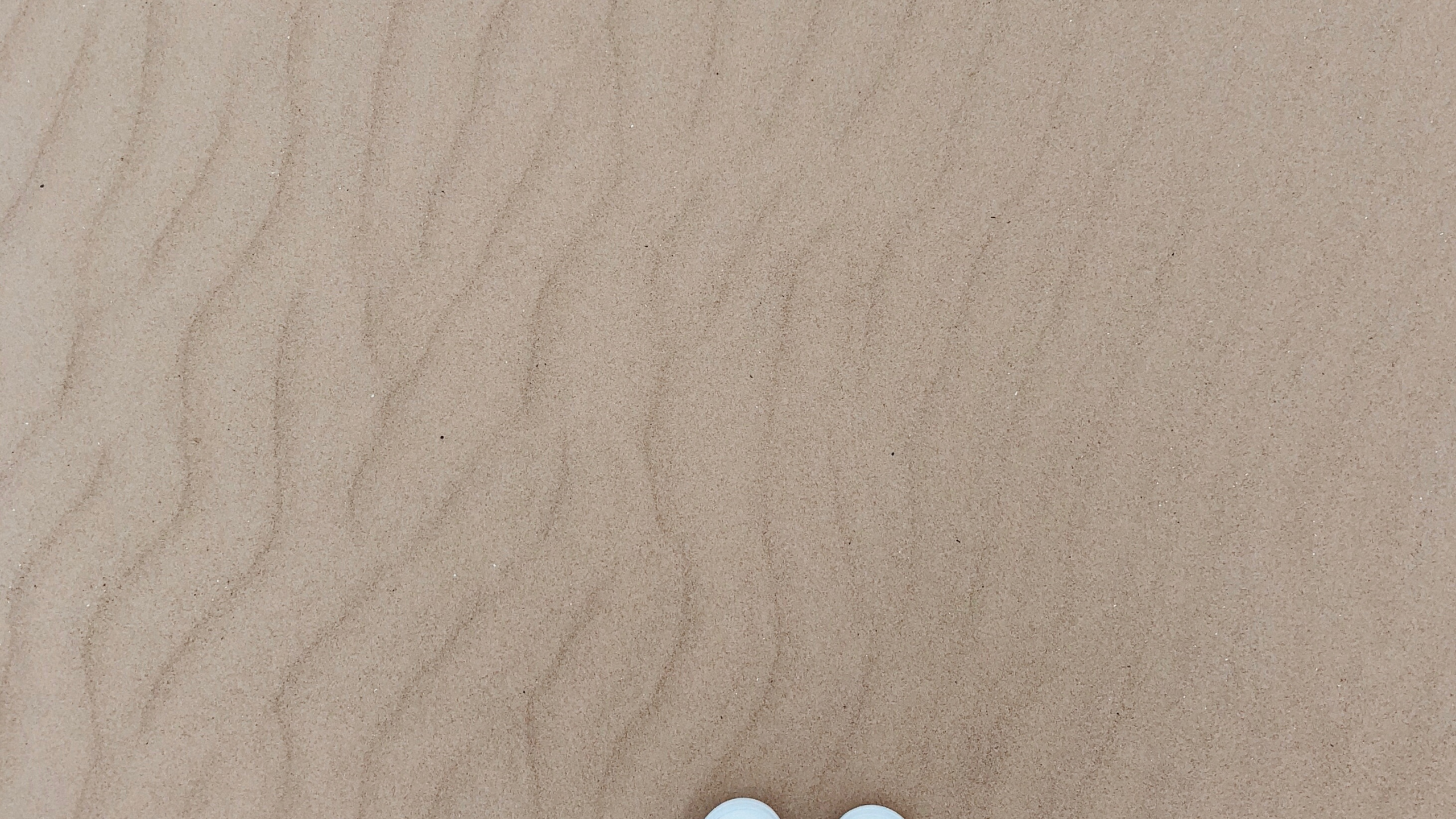 Sand, Human, Leg, Brown, Natural Environment. Wallpaper in 2560x1440 Resolution