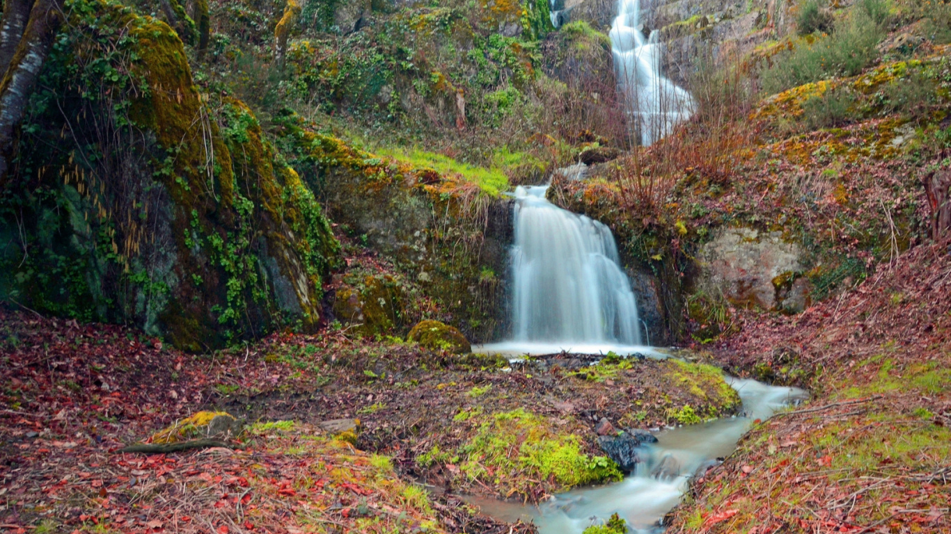 el Agua Cae en Medio Del Bosque. Wallpaper in 1366x768 Resolution