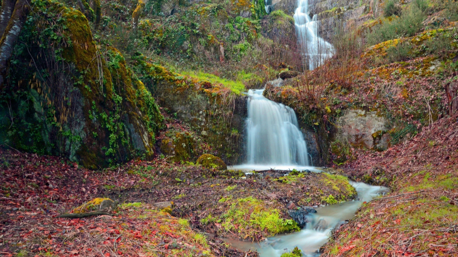 Wasser Fällt Mitten in Den Wald. Wallpaper in 1920x1080 Resolution