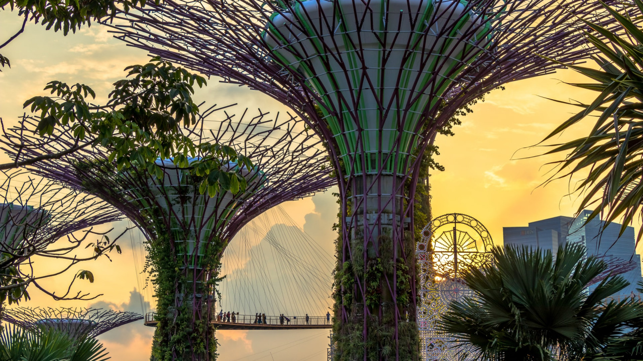 Modern Architecture, Architecture, Plant, Light, Nature. Wallpaper in 1280x720 Resolution