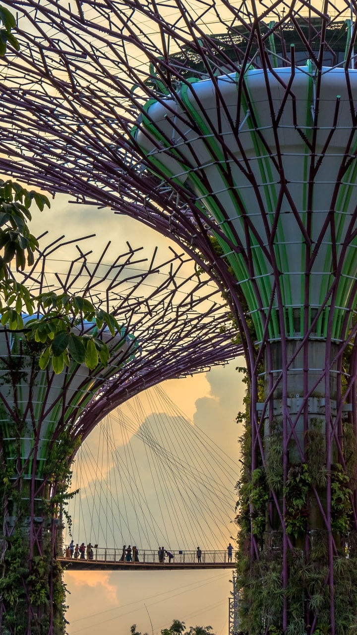 Modern Architecture, Architecture, Plant, Light, Nature. Wallpaper in 720x1280 Resolution