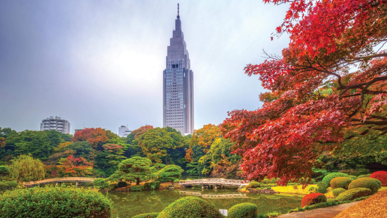 Green and Brown Trees Near High Rise Buildings During Daytime. Wallpaper in 1280x720 Resolution