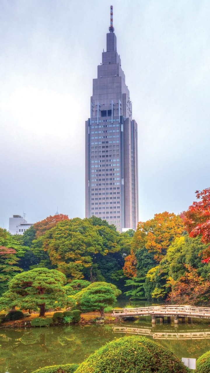 Green and Brown Trees Near High Rise Buildings During Daytime. Wallpaper in 720x1280 Resolution