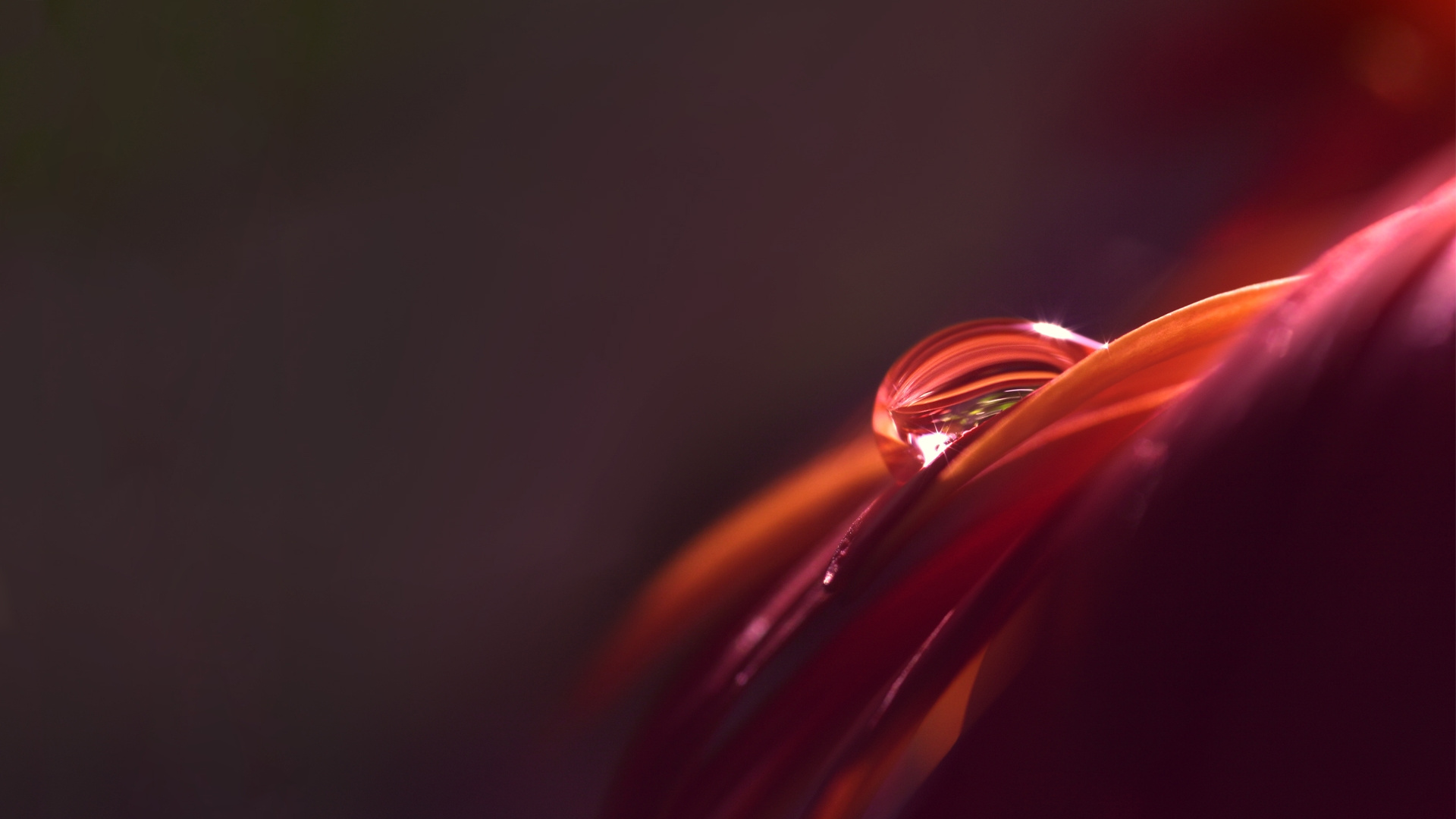 Rot-weißes Licht-Bokeh. Wallpaper in 1920x1080 Resolution