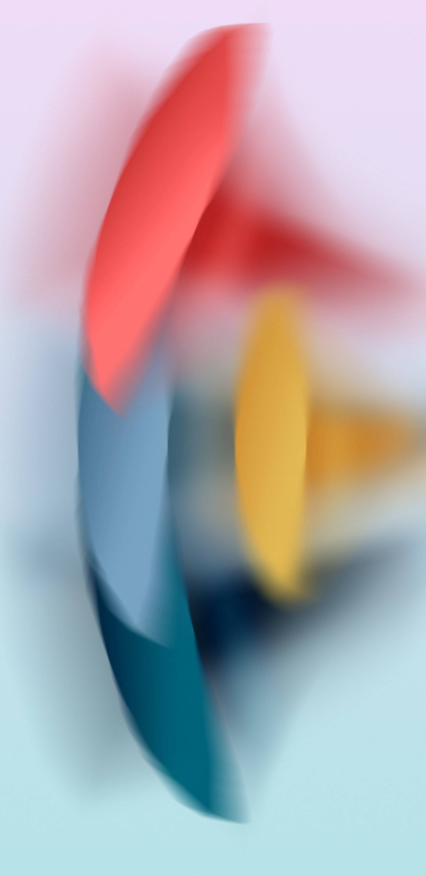 Fermer, L'écriture de Mettre en Œuvre, Pétale, Crayon, Fournitures de Bureau. Wallpaper in 1440x2960 Resolution