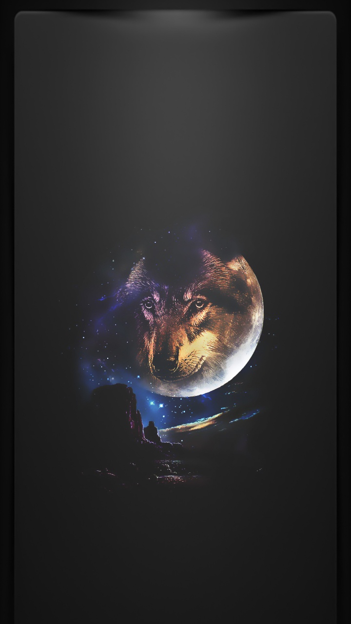 Obscurité, Terre, Arts Visuels, Liquid, Carnivores. Wallpaper in 720x1280 Resolution