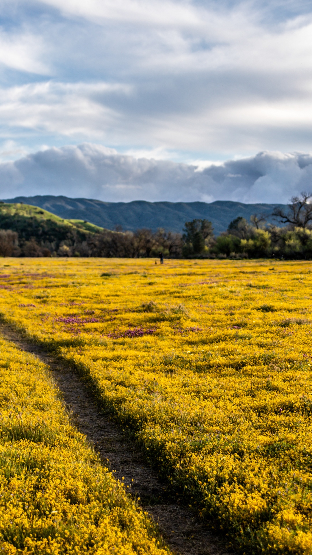 Grassland, Mount Scenery, Crop, Grasses, Rural Area. Wallpaper in 1080x1920 Resolution