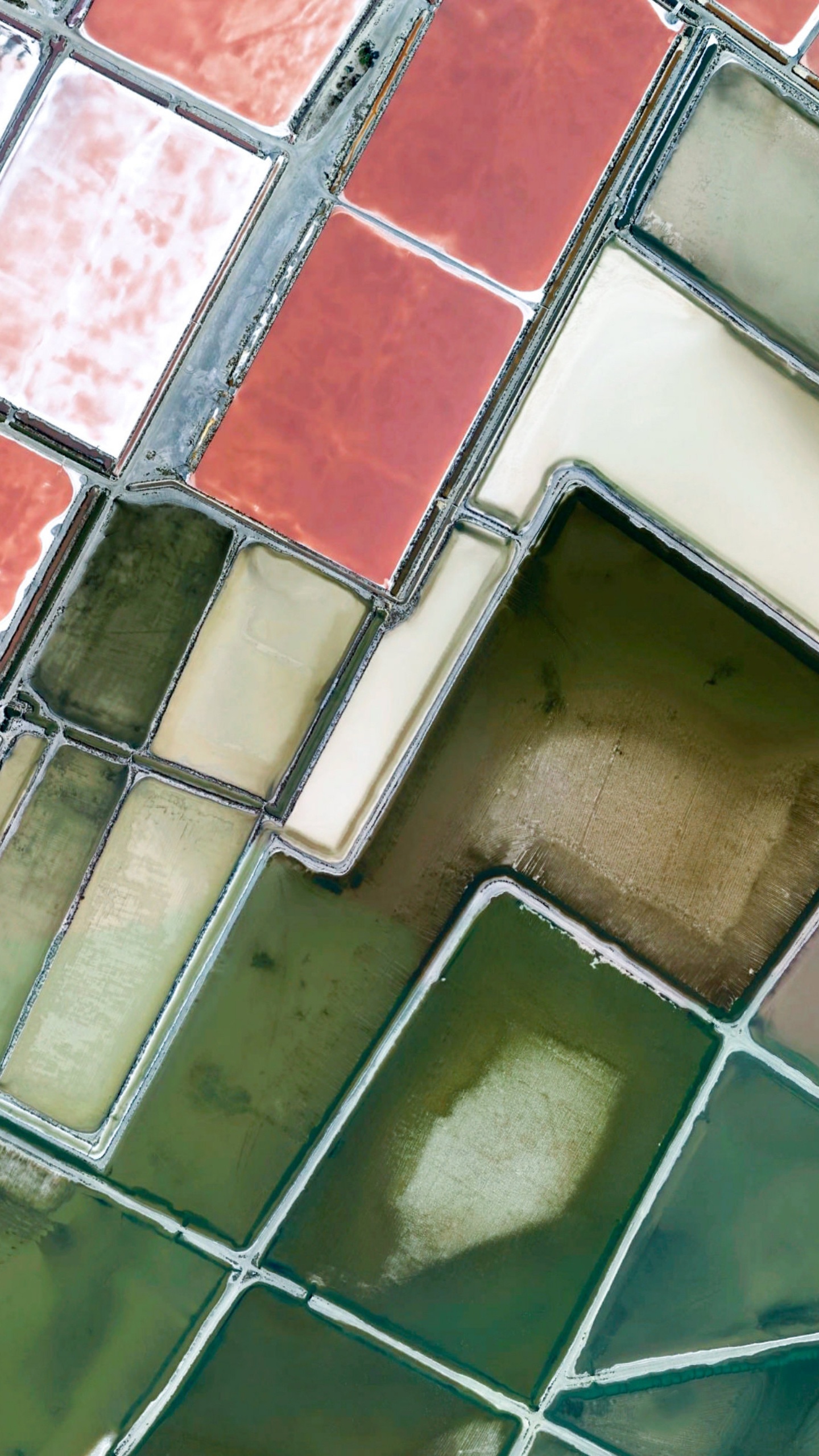 Google Pixel, Google Pixel 3 XL, 谷歌像素XL, 像素2, 谷歌 壁纸 1440x2560 允许