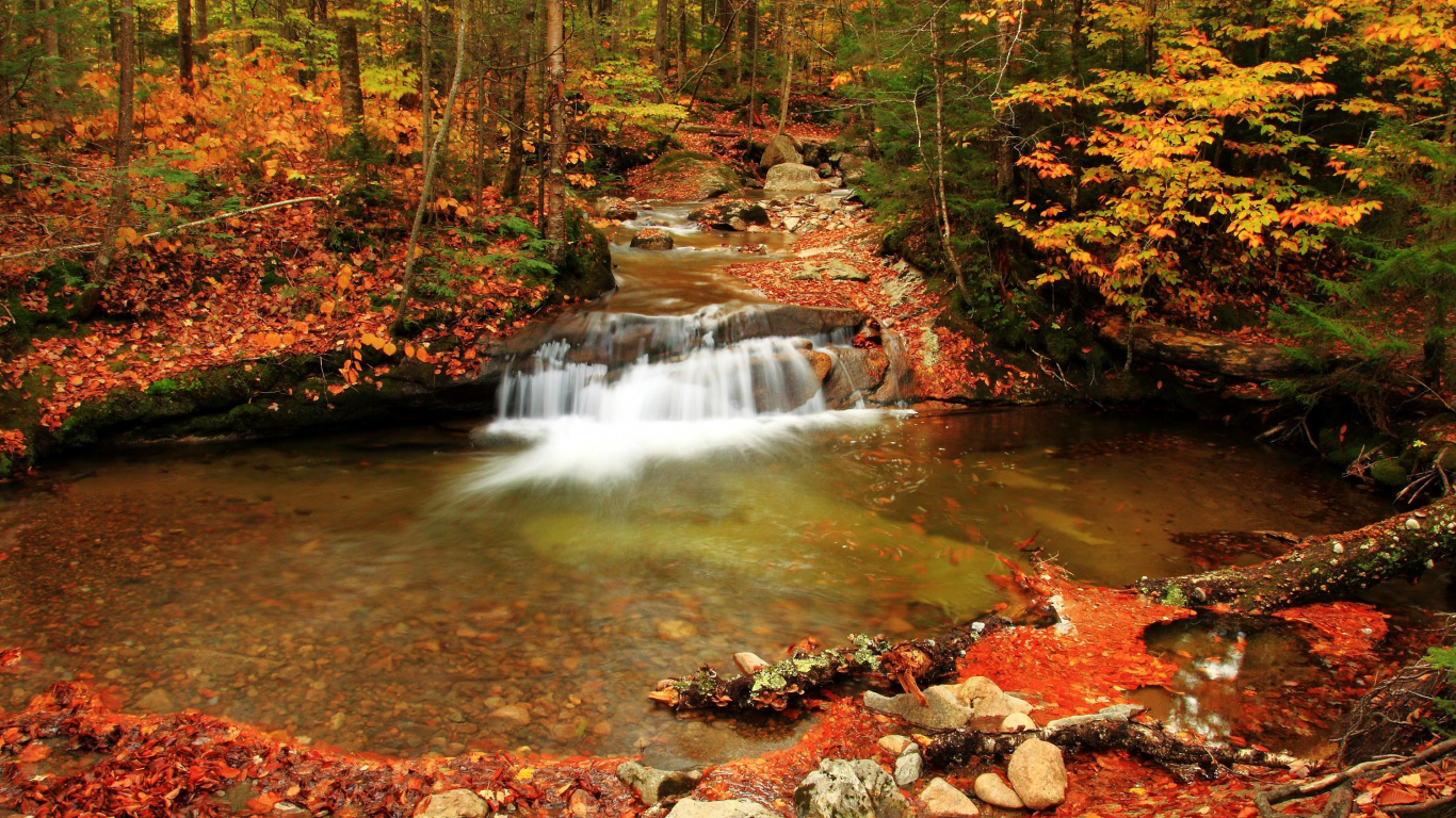 Rivière au Milieu Des Rochers. Wallpaper in 1366x768 Resolution