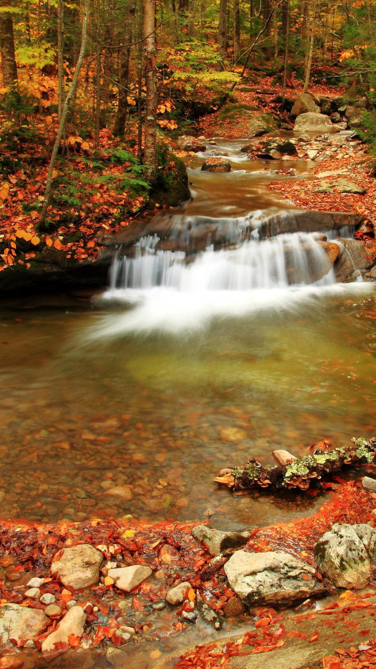 Fluss Inmitten Von Felsen. Wallpaper in 750x1334 Resolution