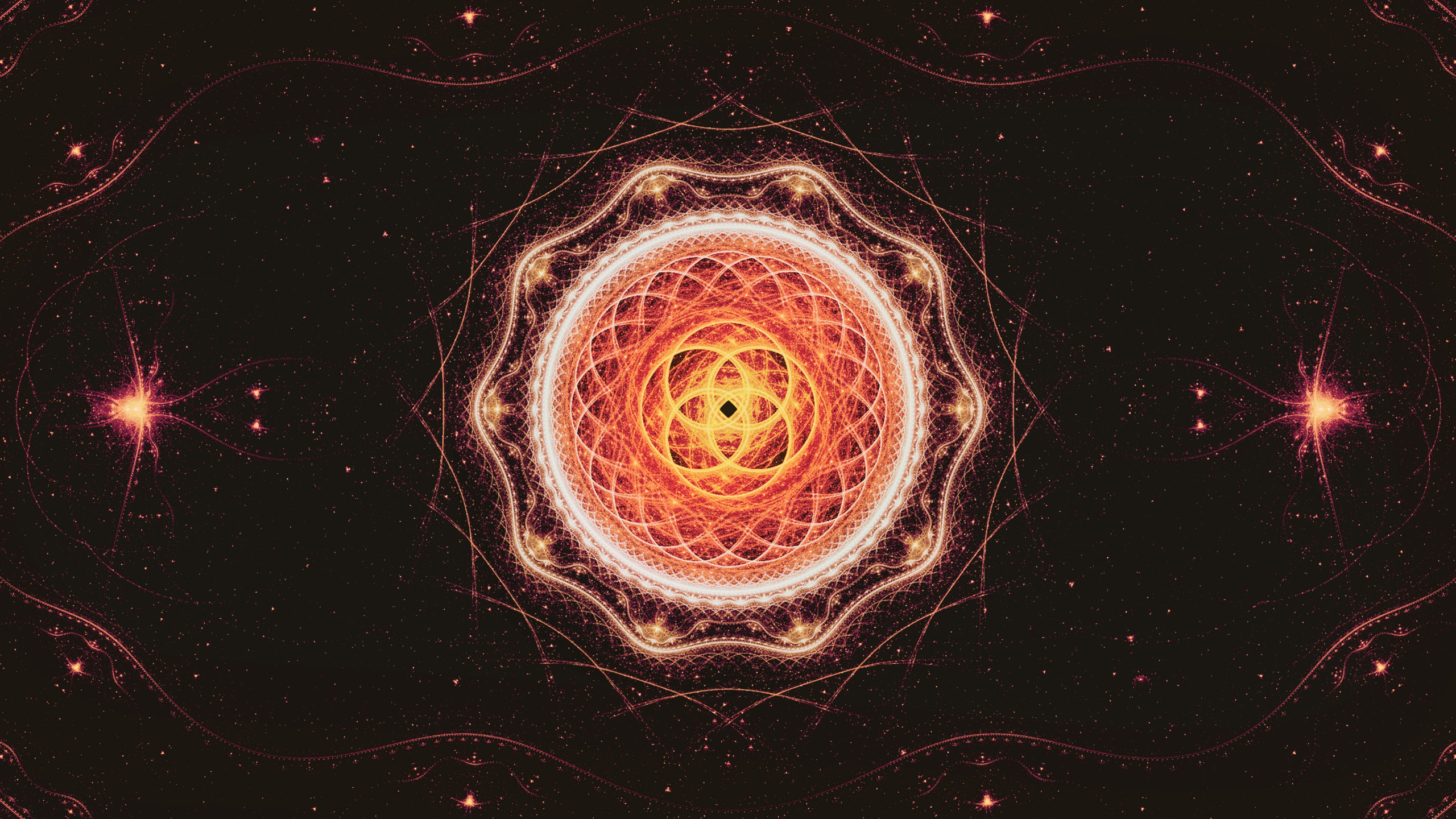 Illustration Ronde Brune et Noire. Wallpaper in 2560x1440 Resolution