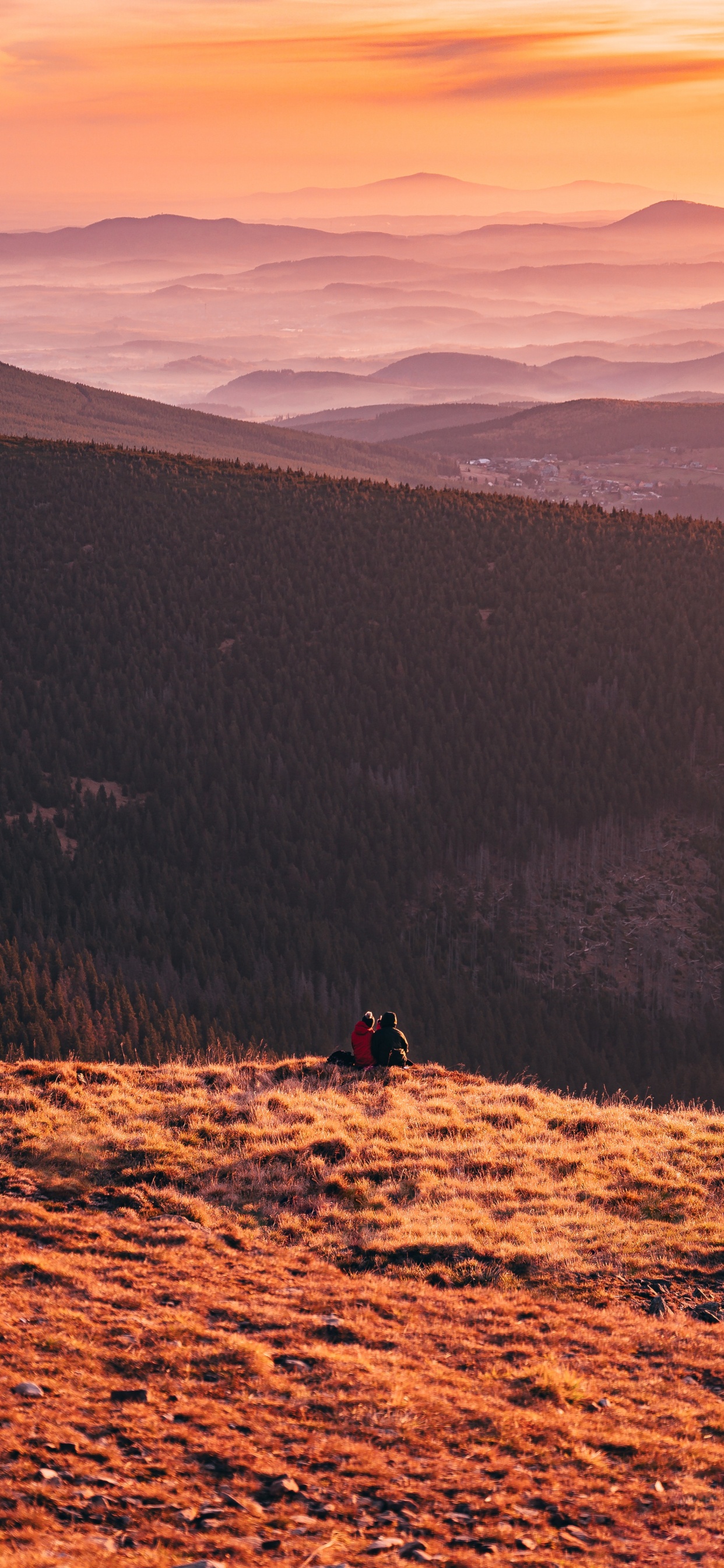 Dusk, Wilderness, National Park, Sky, Tree. Wallpaper in 1242x2688 Resolution
