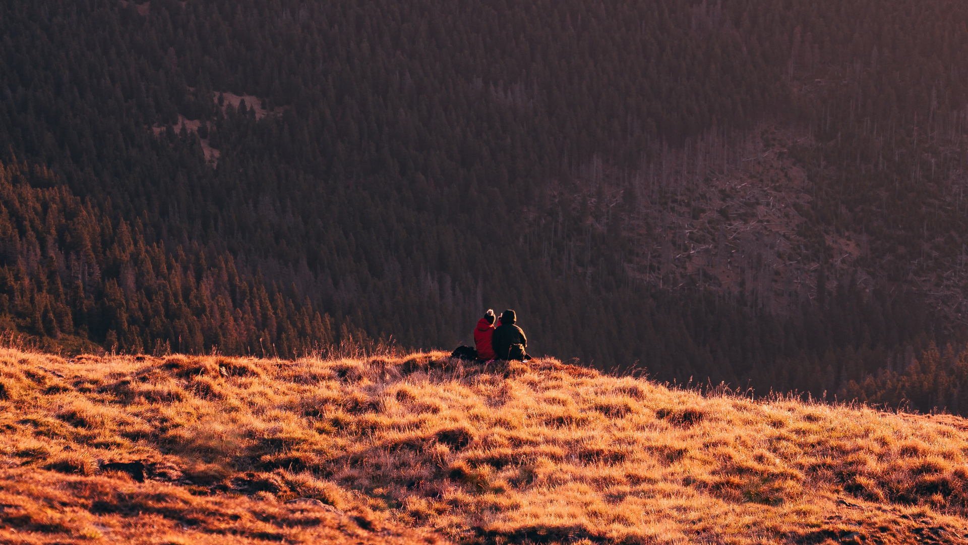 Dusk, Wilderness, National Park, Sky, Tree. Wallpaper in 1920x1080 Resolution