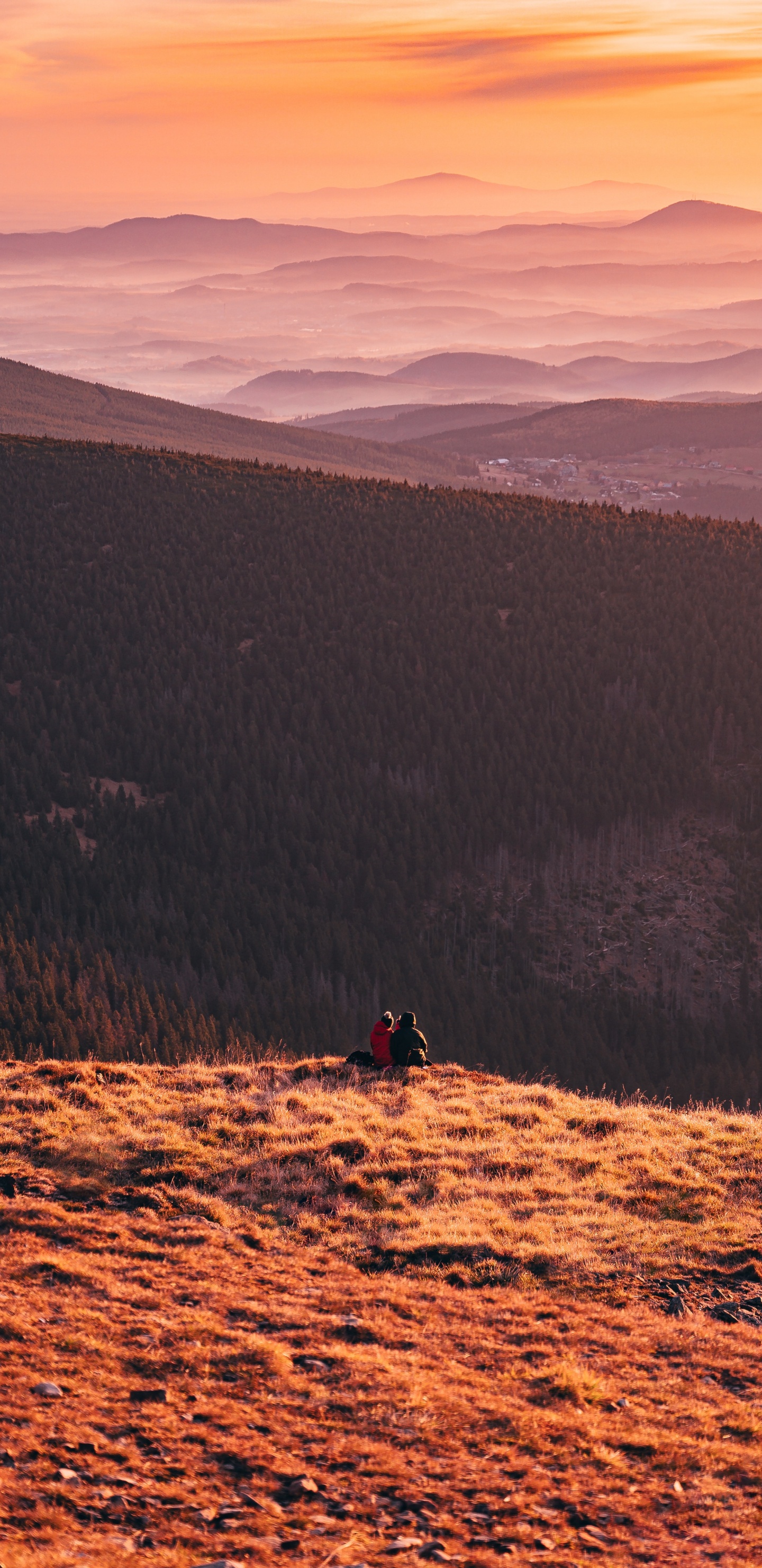 荒野, 天空, 地平线, M树, 日出 壁纸 1440x2960 允许