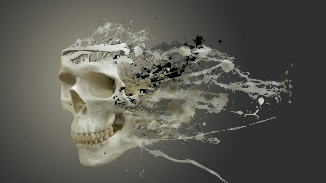 Disintegrating Skull, Bone, Art, Skull, Eyelash. Wallpaper in 1366x768 Resolution