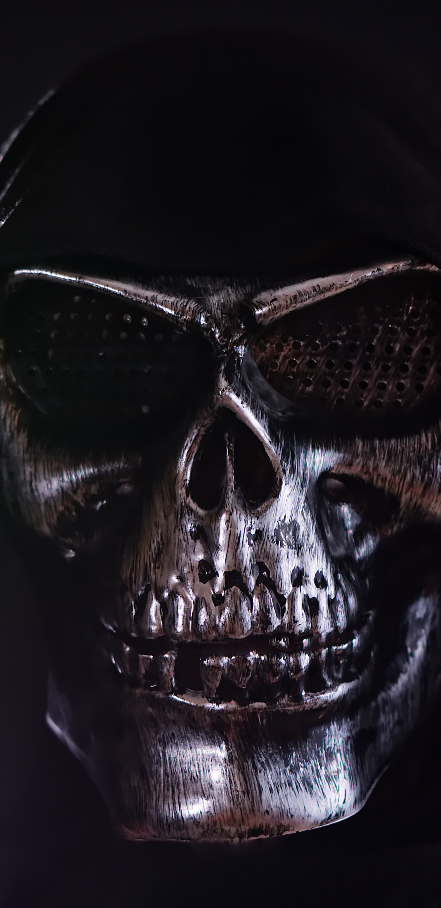 Masque de Crâne Noir et Argent. Wallpaper in 1440x2960 Resolution
