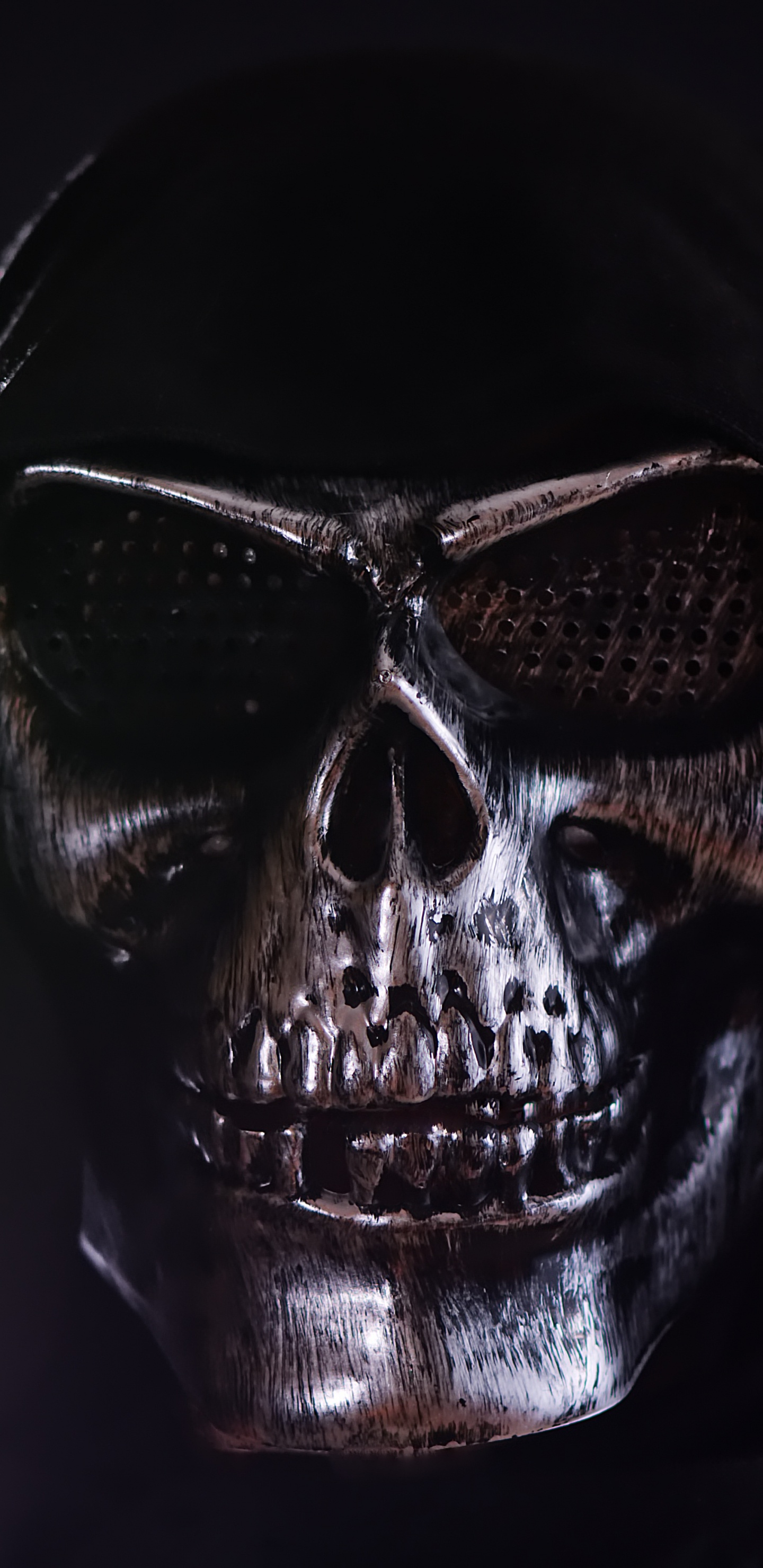 Schwarz-silberne Totenkopfmaske. Wallpaper in 1440x2960 Resolution