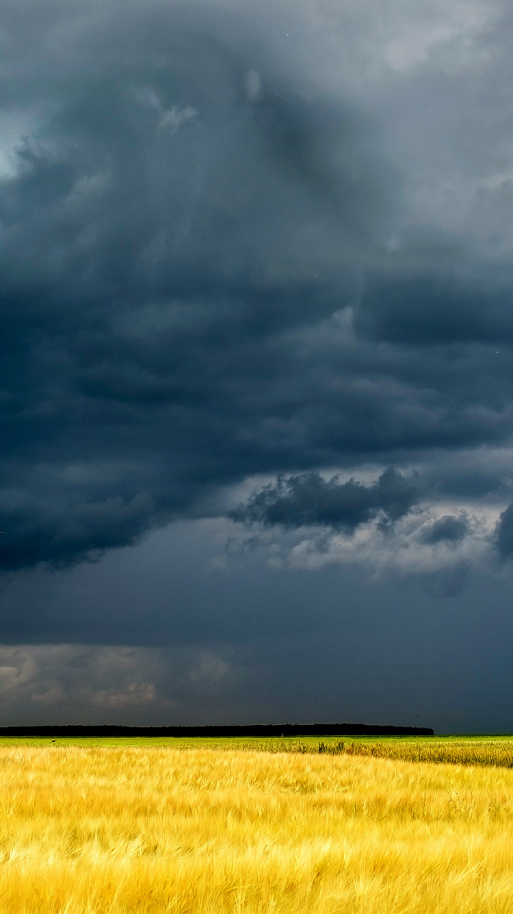 Champ D'herbe Verte Sous Les Nuages Gris. Wallpaper in 750x1334 Resolution